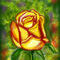yellow-rose by katy