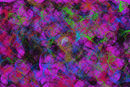 untitled-1