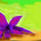 flower by donacac