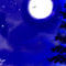 newmoon-night by donacac