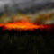 brush-fire by marky
