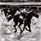 free-horse-race by gvallejo