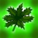 marijuana