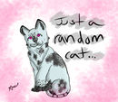 random-cat
