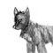 me by Firestar