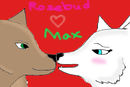 rosebud-and-max