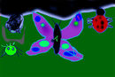 some-bug-will