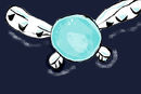 navi
