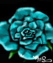 hope hope