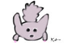 1st-chinchilla