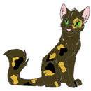 lynxstar