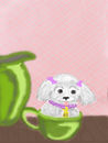 teacup-puppy