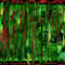 jungle-stain by cobaltgrace
