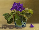 grandmas-violets grandmas-violets