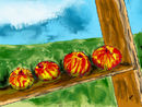 apples-to-head