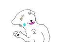 random-drawing