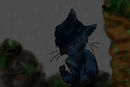 cat-in-the-rain