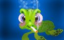 smokie