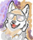 hipster-coyote-variati
