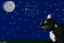 ravenstar