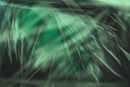 green-crystal-cave