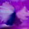 lavender-flower by savetheworldplease