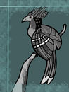 bird