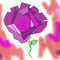 only-rose by ashley6626