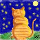 cat-in-the-night