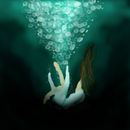 plunge