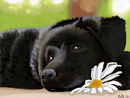 lazy-days lazy-days