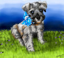 beckys-blue-eyed-schna beckys-blue-eyed-schna
