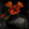 orange-poppies by Daisymae