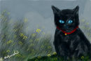 meow
