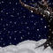 night-snow by Lilibi