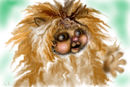 strange-creature strange-creature