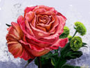 my-crazy-colored-rose