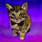 classy-kitten by mudpuddle