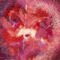 my-valentine by harri2