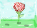 practice-rose