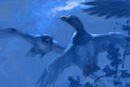 sketch-of-peregrine-fa