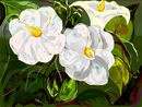 little-white-flowers little-white-flowers