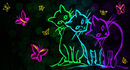 timeline-cover timeline-cover
