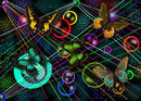 wild-butterflies