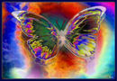 double-butterfly double-butterfly