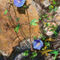 rocks-and-flowers by viridian