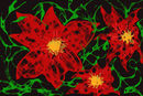 flowers flowers