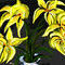 yellow-flowers by ploiesteana