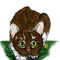 cat by snee