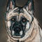 perplexers-dog by kutedymples